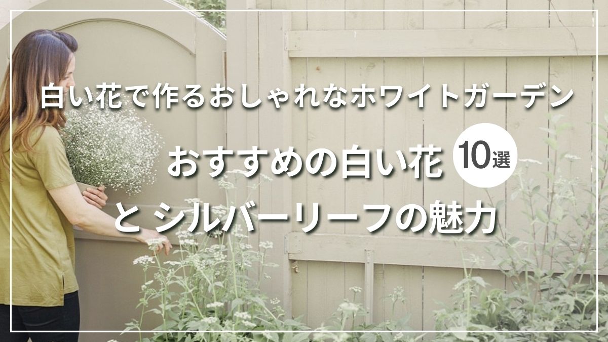 白い花で作るおしゃれなホワイトガーデン～おすすめの白い花10選と