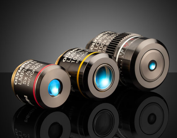 オリンパス製対物レンズ | Edmund Optics
