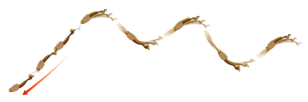 DEATHADDER GRUB TWIN-TAIL | deps OFFICIAL HP | デプス 公式HP