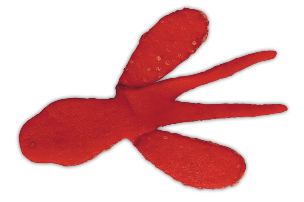 PORK | deps OFFICIAL HP | デプス 公式HP