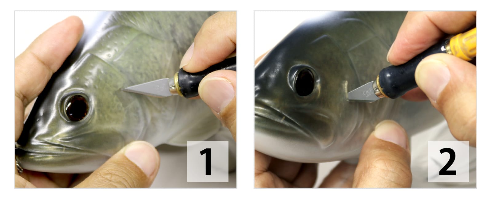 コードネームバス/F | deps OFFICIAL HP | デプス 公式HP