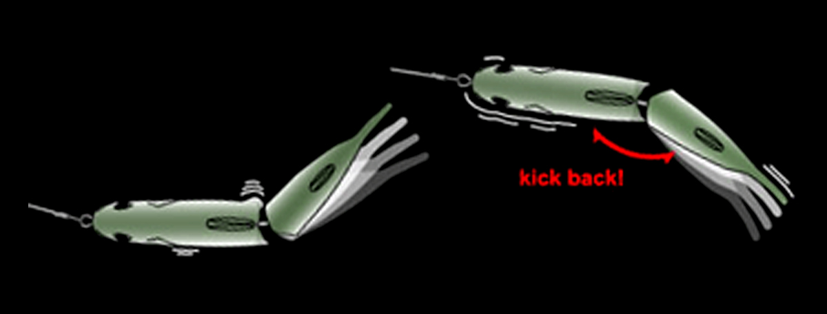 SILENTKILLER250/SLIDSWIMMER250 | deps OFFICIAL HP | デプス 公式HP