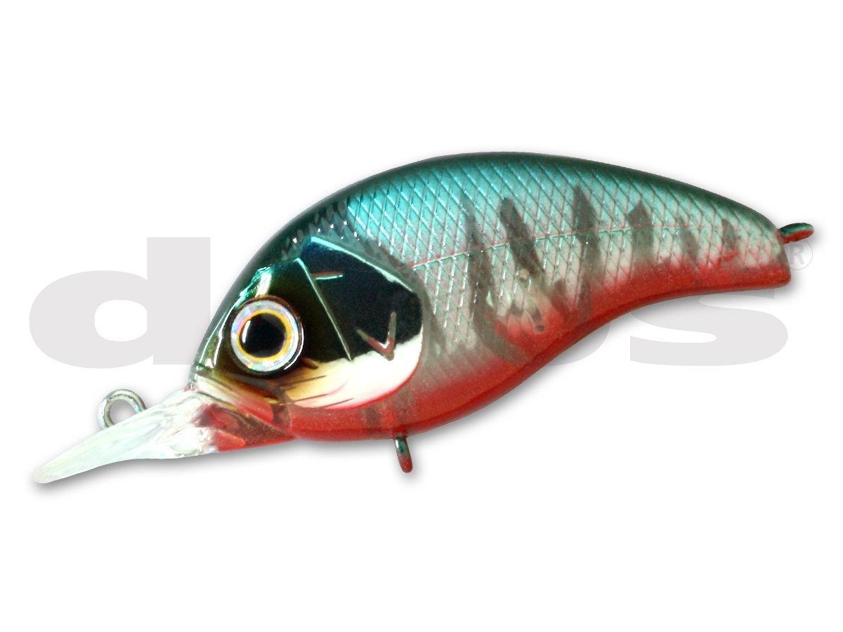 KORRIGAN SR | deps OFFICIAL HP | デプス 公式HP