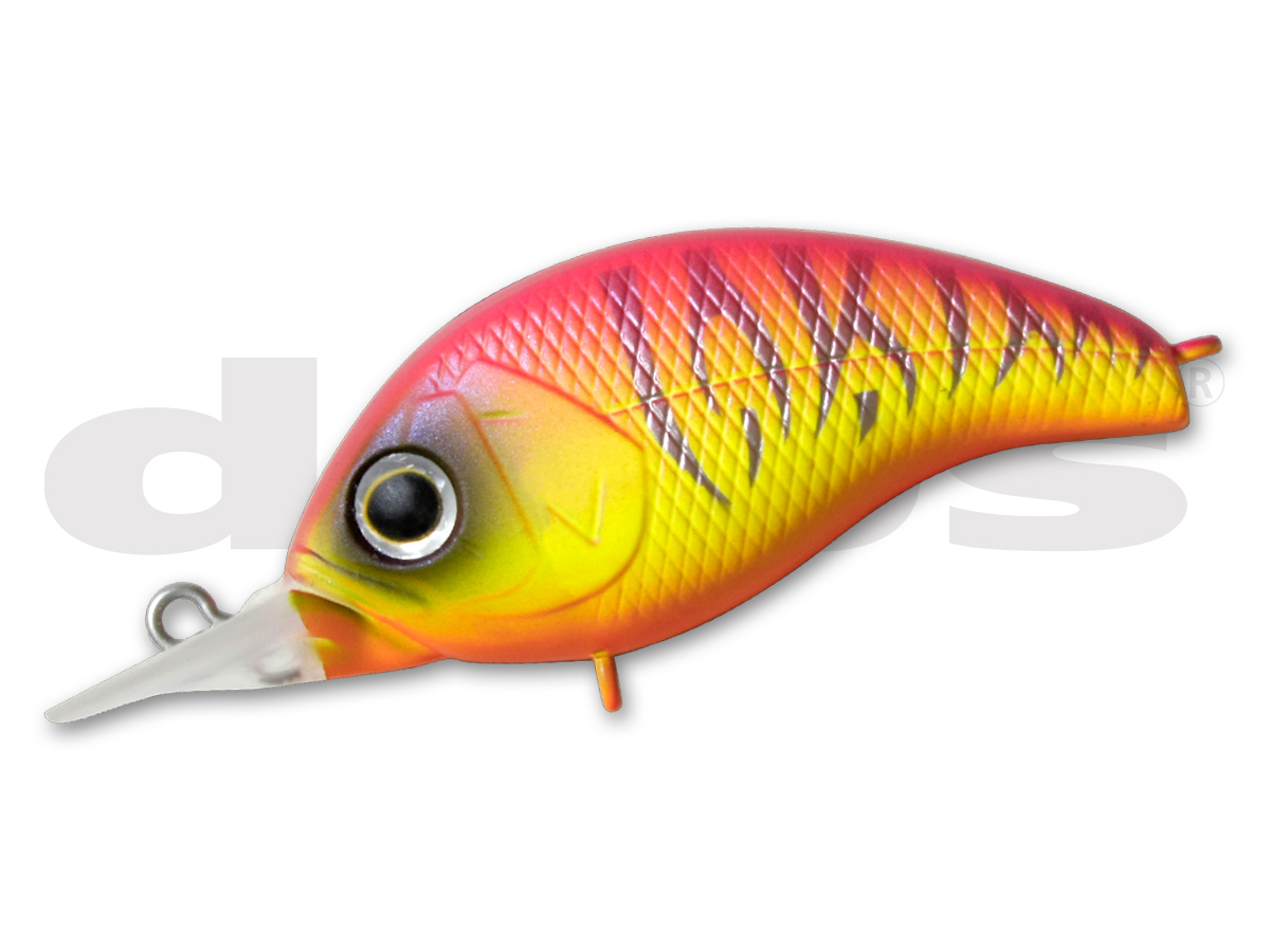 KORRIGAN SR | deps OFFICIAL HP | デプス 公式HP