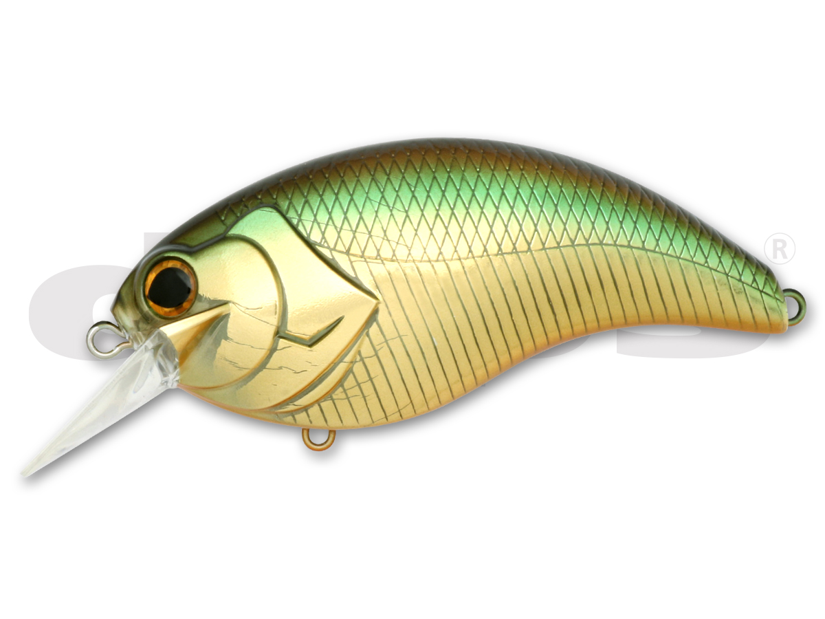 EVOKE 4.0 | deps OFFICIAL HP | デプス 公式HP