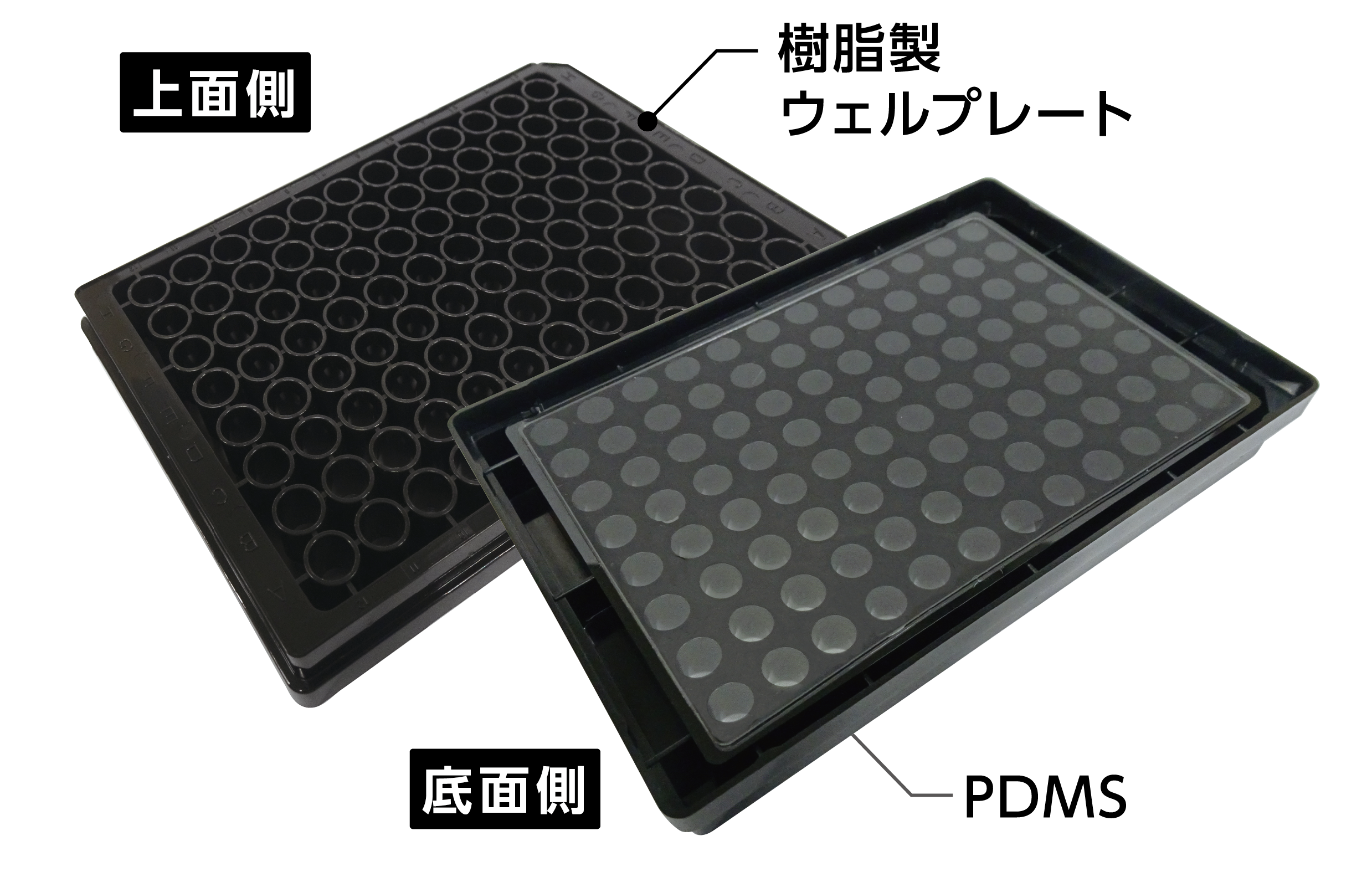 酸素透過性細胞培養プレート｜96ウェル PDMS底面 高酸素透過 プレート