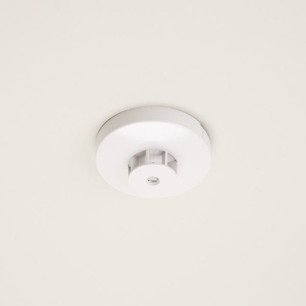 1285_01-1_grande.jpg?v=1719280735