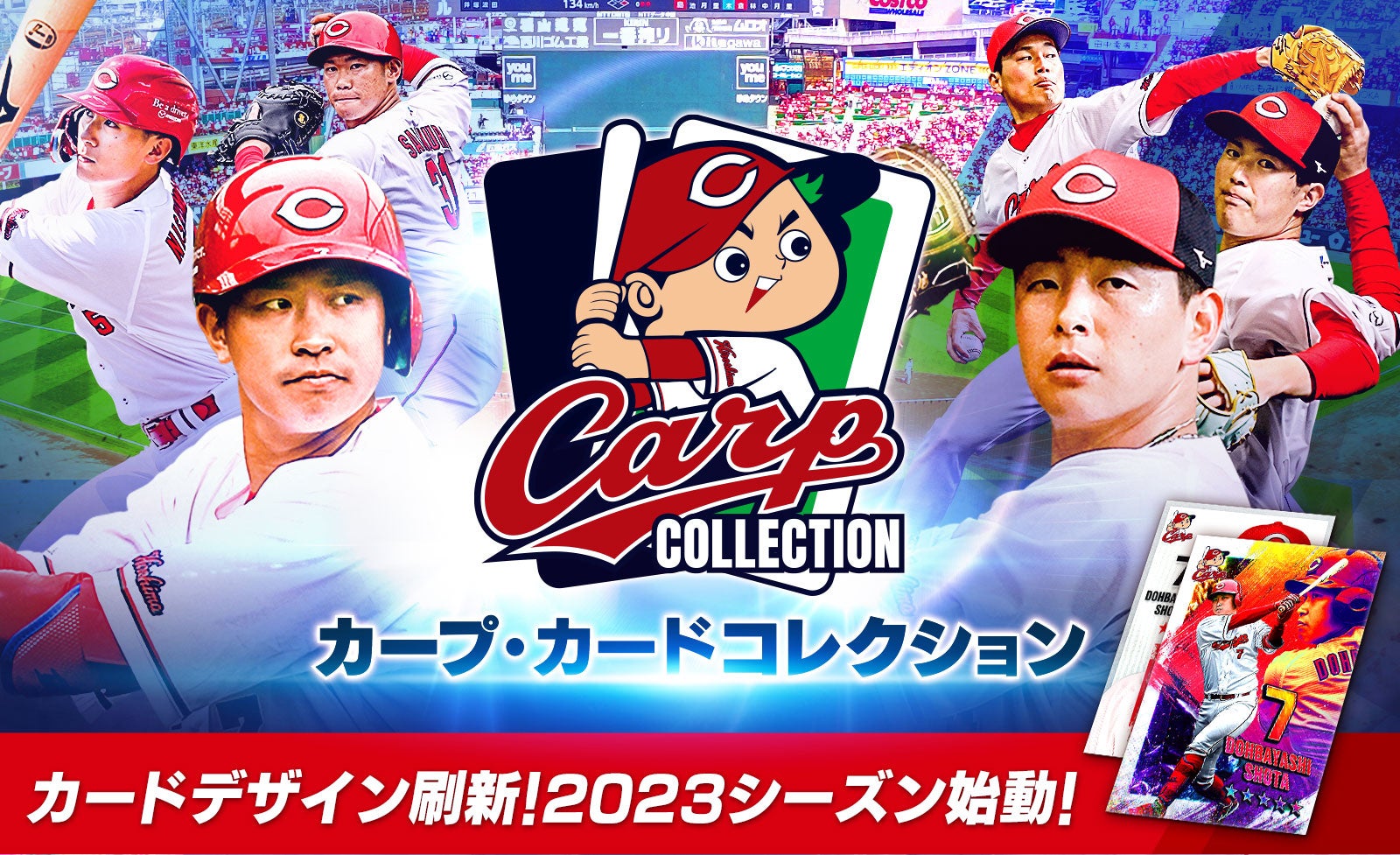 広島東洋カープ承認カードコレクションアプリ『カープ・カード