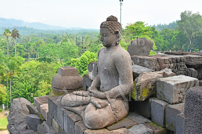 仏像 ボロブドゥール寺院遺跡 ジャワ島 インドネシア [253273512]の