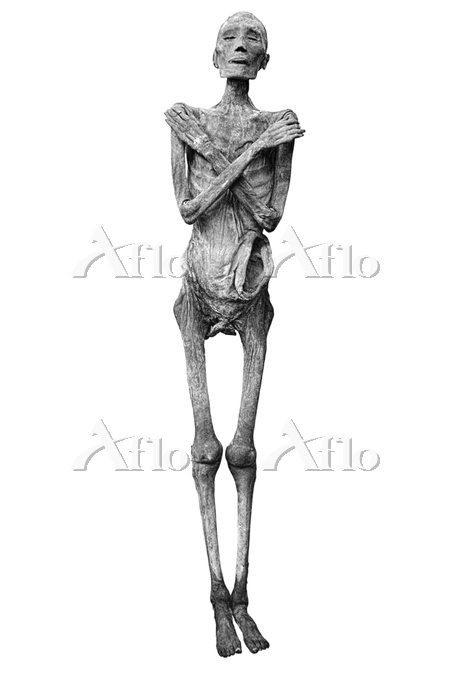 ラムセス5世 ミイラ [36660263]の写真素材 - アフロ