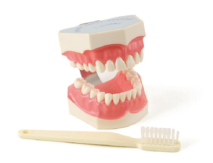 プレミアムプラスジャパン｜Premium Plus Japan｜デモンストレーション