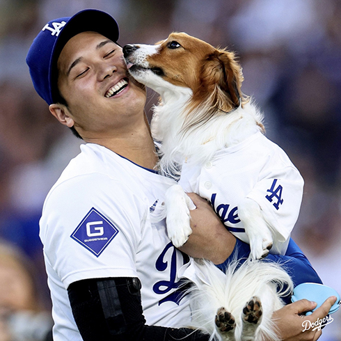 仕事早いな！ 大谷翔平の愛犬“デコピン”、大反響の始球式がさっそくT