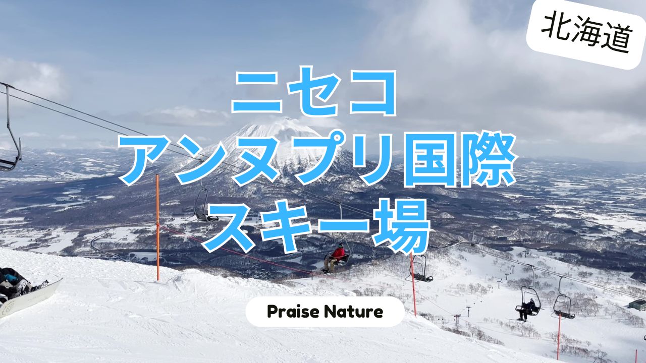 ニセコ】アンヌプリ国際スキー場の魅力とおすすめポイント | Praise Nature