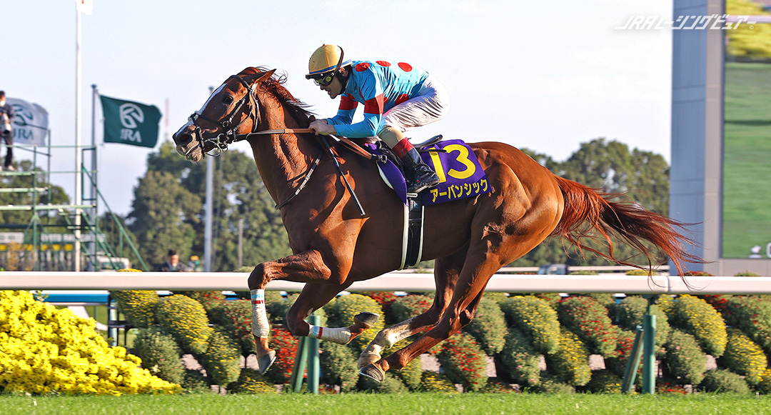 菊花賞 GI特集 JRAレーシングビュアー JRA公式映像配信サービス