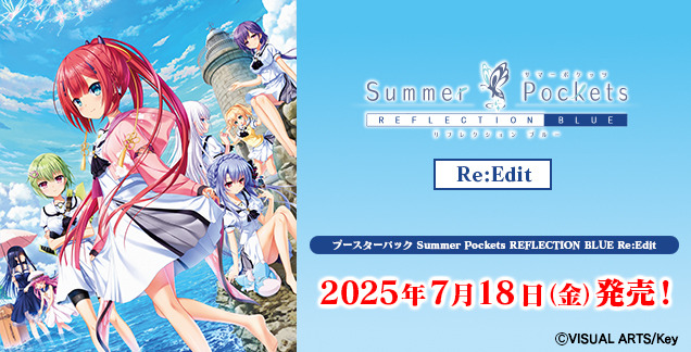 ヴァイス 大量 まとめ売り サマポケ sao fate等色々 R RR多数 ヴァイス