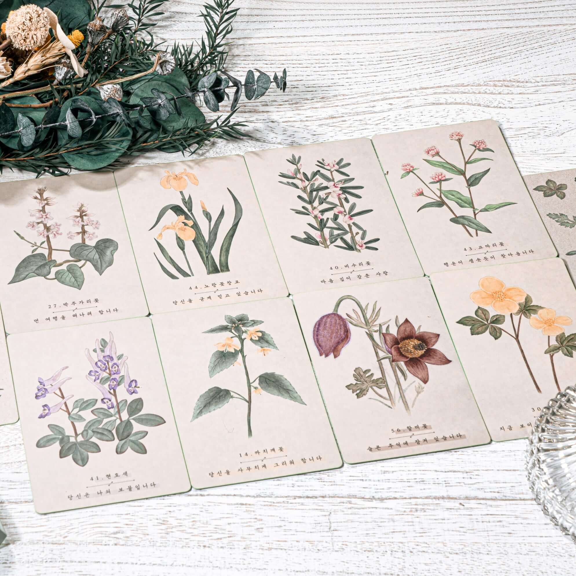 PRIME MUSE 韓国の野生の花のアドバイス オラクル タロット カード日本