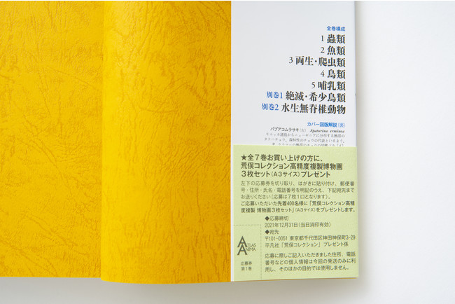 荒俣宏の偉業『世界大博物図鑑』シリーズが、旧版の約3分の1の価格