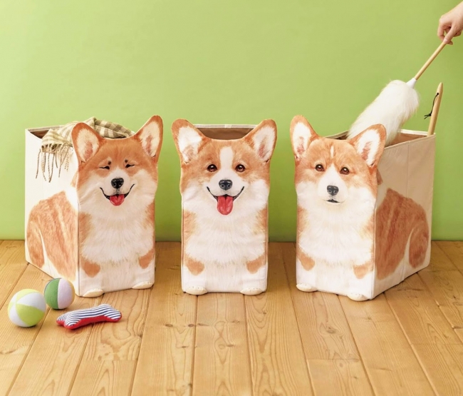 コーギーが収納をお手伝い「ちょこんとおすわり コーギー収納ボックス