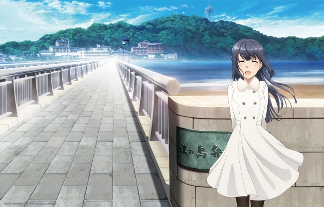 青春ブタ野郎はゆめみる少女の夢を見ない』11月27日(水)Blu-ray&DVD