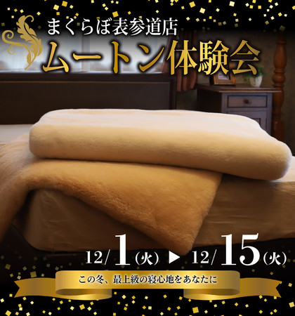 前年比665％売れた！世界最高峰の寝心地・ムートン体験会開催