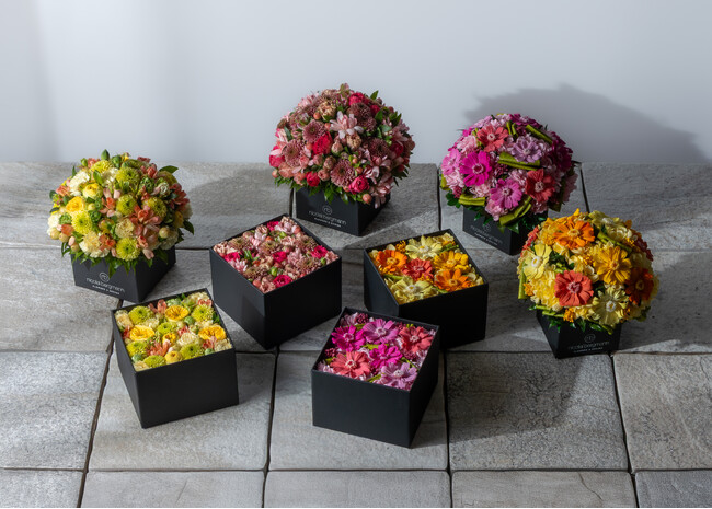 美しい冬から春への移り変わりを色鮮やかに表現した、ニコライ