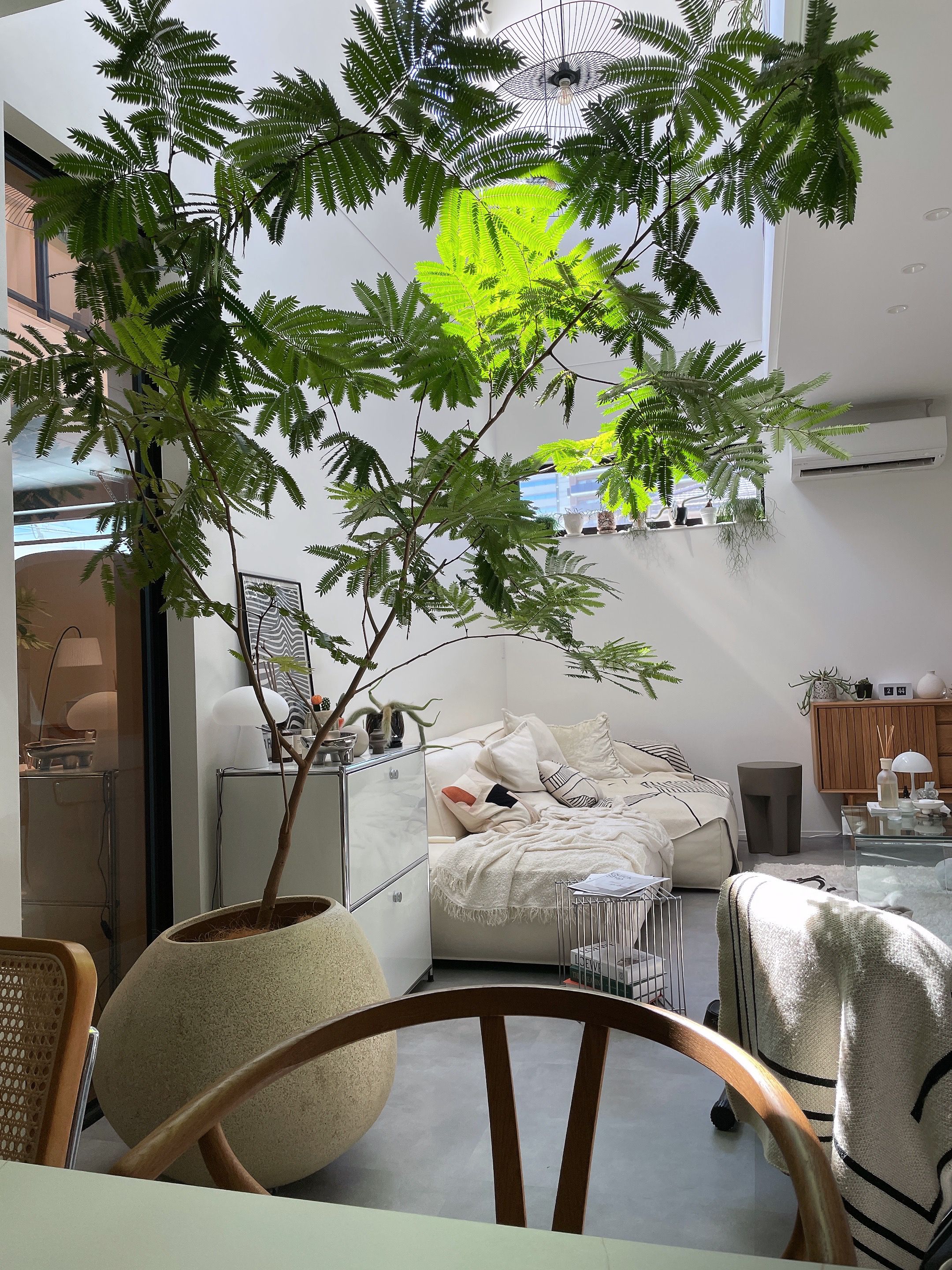 ACTUS DECK ARTクッションカバー 45cm角 | クッション・座布団 | Ohouse