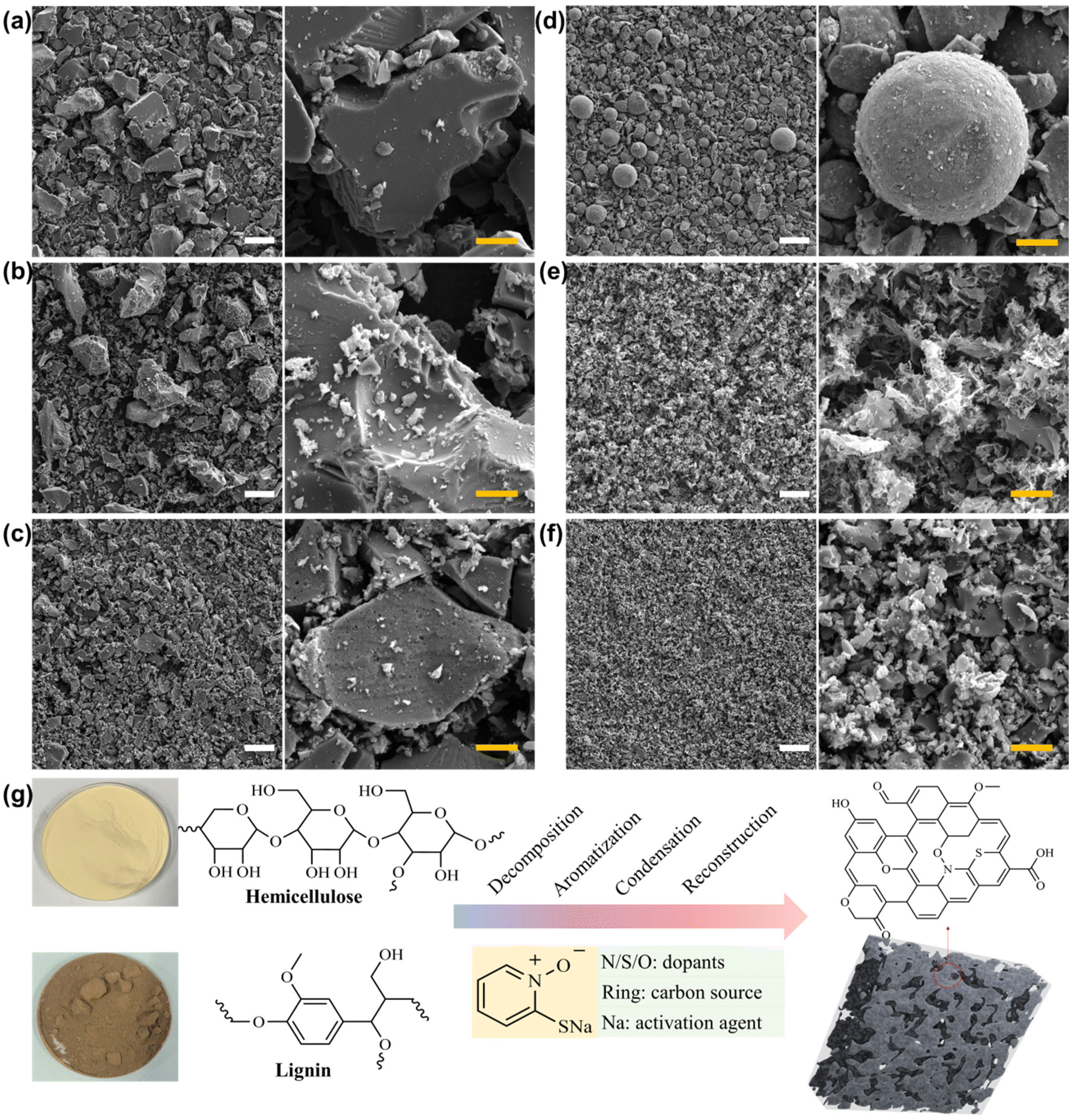 Green synthesis of sodium pyrithione salt-activated biomass