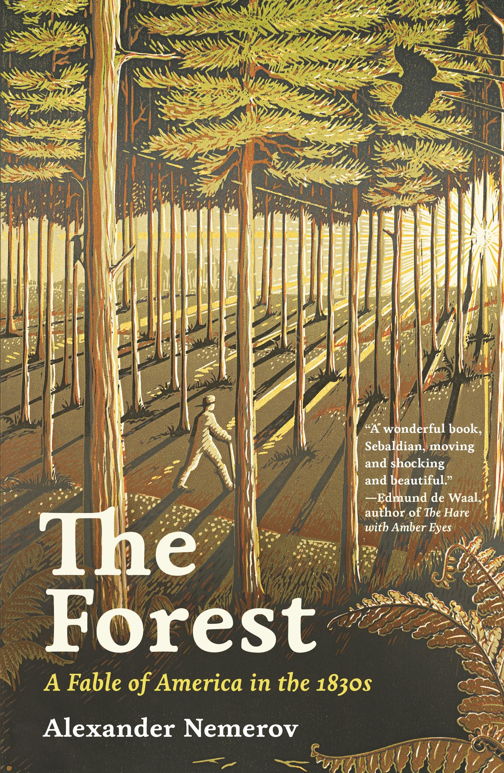 The Forest | Princeton University Press