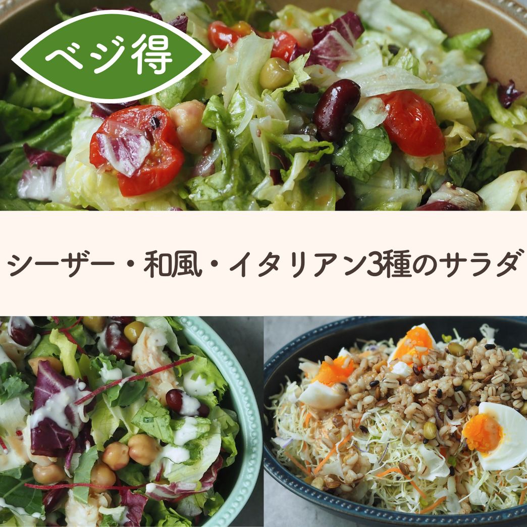 3食分でお得】1日分の野菜がとれる「簡単サラダセット」【管理栄養士