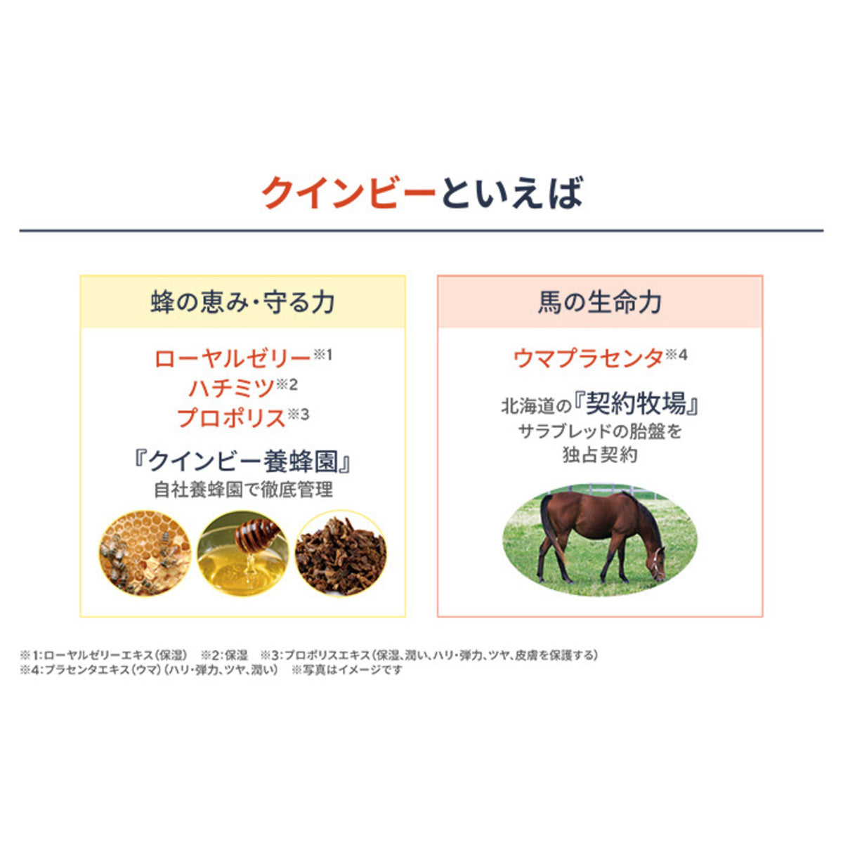 クインビー公式】香るボディスクラブ｜潤い続く角質ケア＆保湿