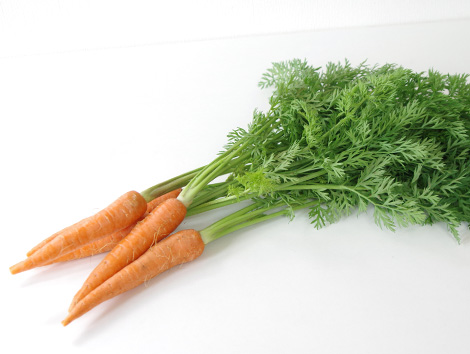 にんじんの葉のおいしさ、知っていますか？