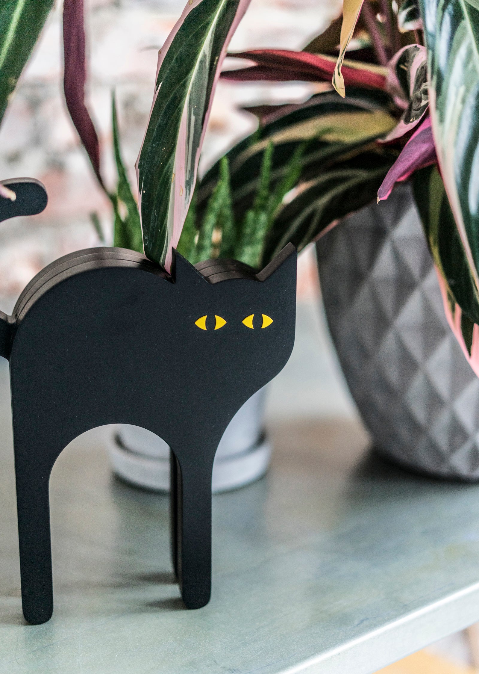 Tecta Cat by Tecta — Rarify