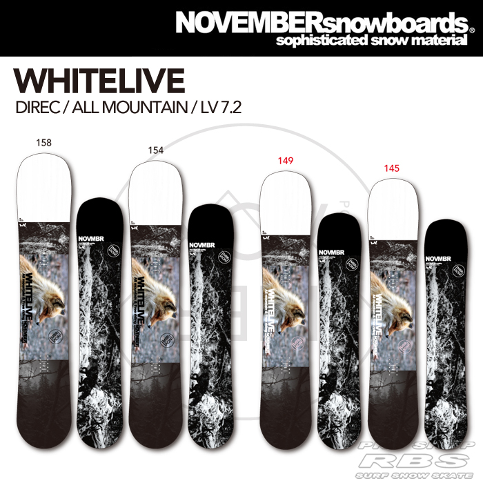 18-19 NOVEMBER (ノーベンバー) WHITELIVE 【送料無料・チューンナップ