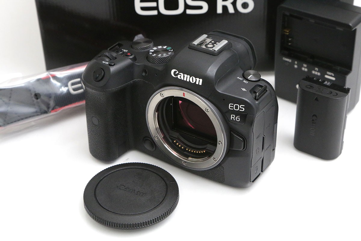 EOS R6 ボディ（純正予備バッテリー付属） CA01-B4798-2S5 | キヤノン