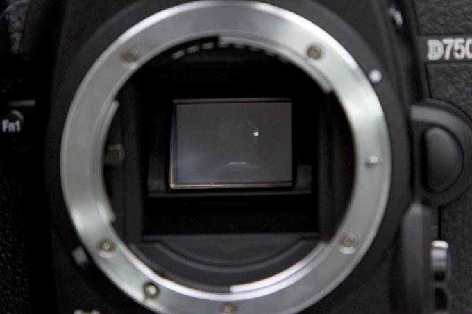 D7500 ボディ シャッター回数1000回以下 【K447】 | ニコン | デジタル