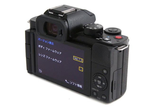 LUMIX DC-G100K 標準ズームレンズキット γA3838-2P4 | パナソニック