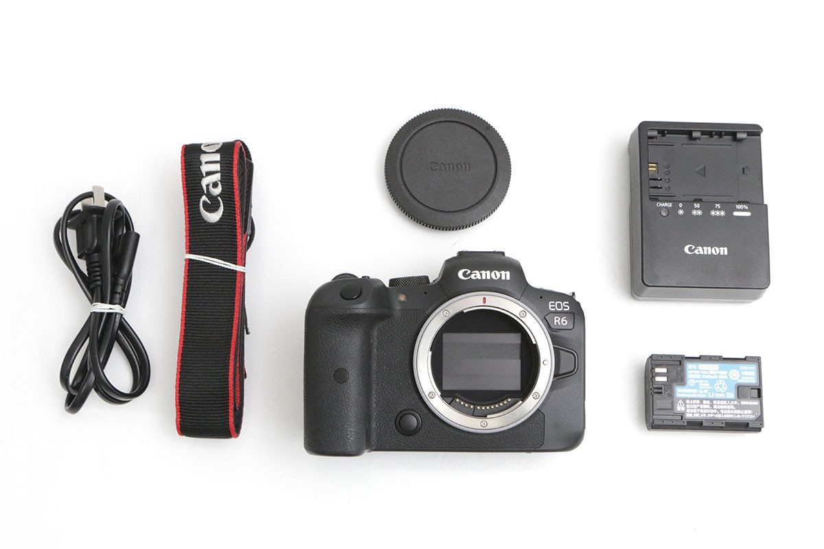 EOS R6 ボディ CA01-B4827-3V3B | キヤノン | ミラーレスカメラ