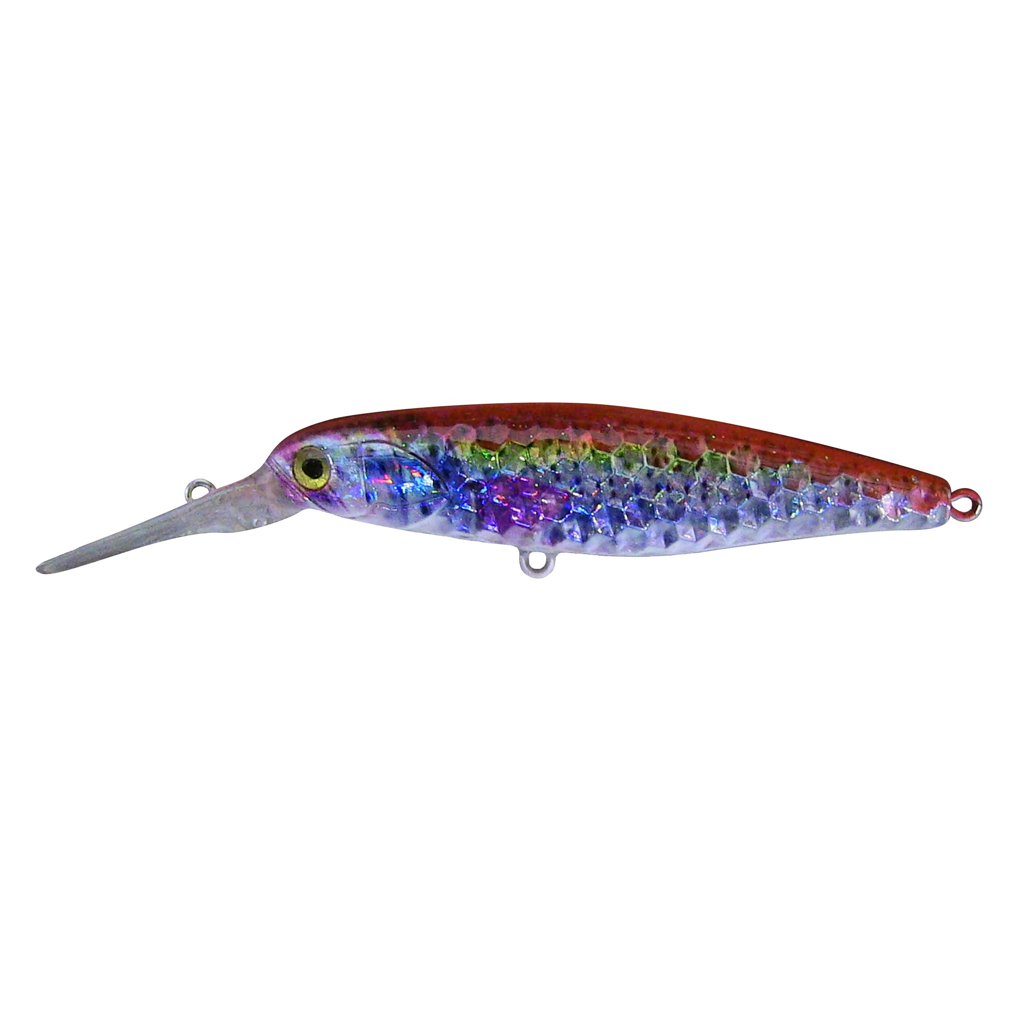 Orange Rainbow Trout Deep Diver Live Bait Series - Reno Bait Company