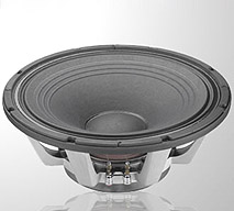 Electro-Voice DL15ST 15