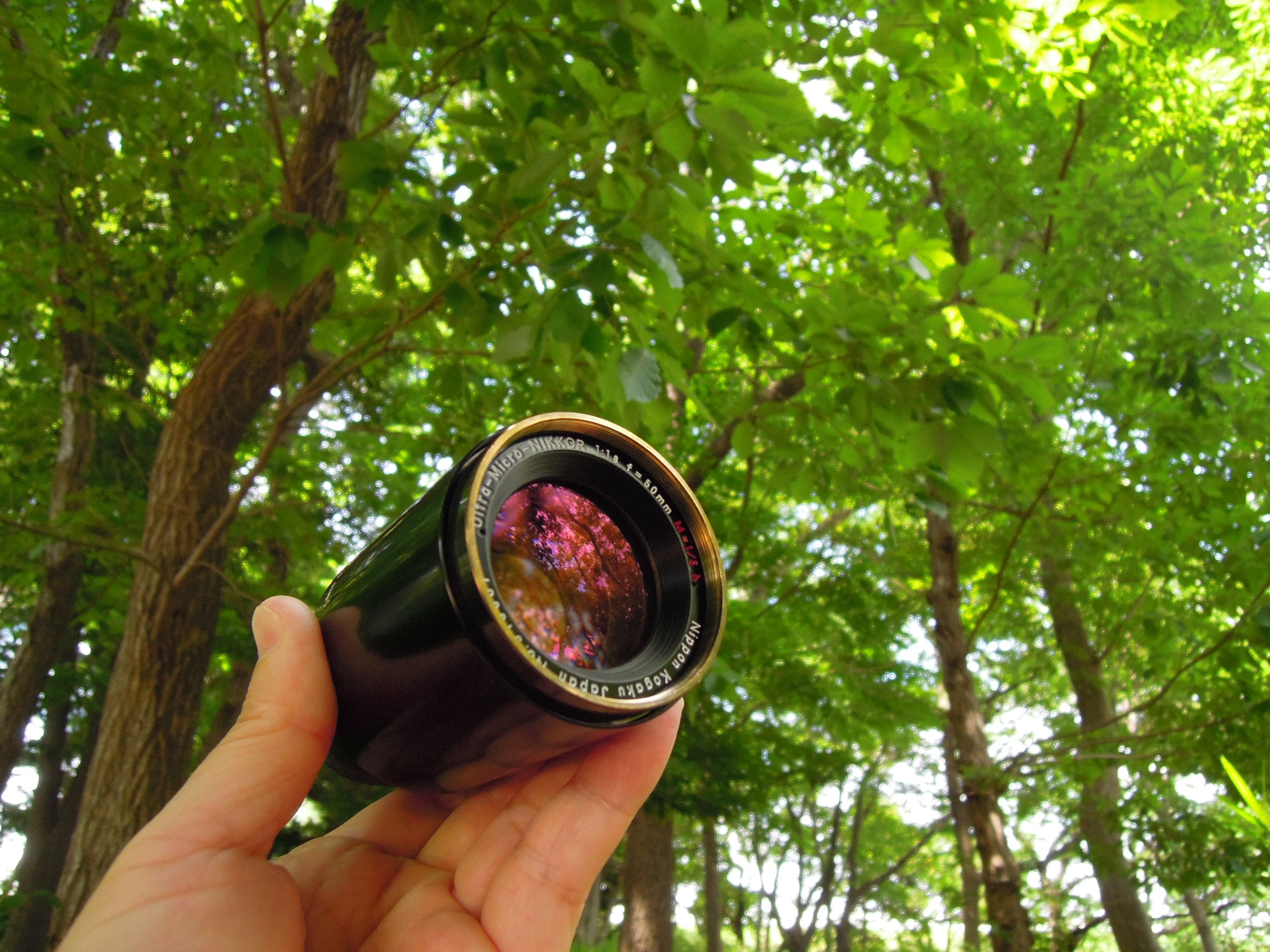 Ultra Micro Nikkor 50mm F1.8h Brilliant Lens