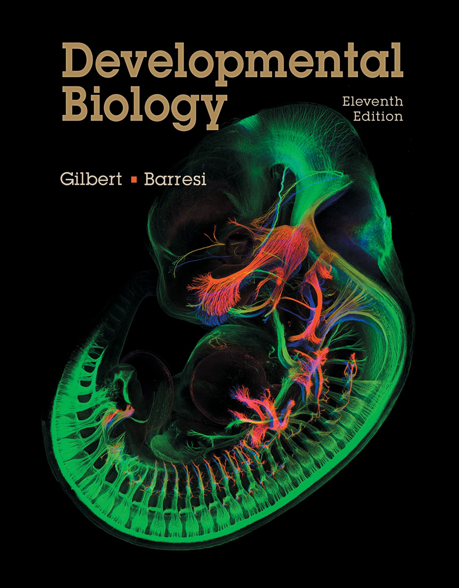 Developmental Biology by: Scott F. Gilbert - 9781605355979 | RedShelf