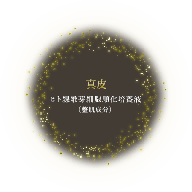 RE L'ABEAUTE（リアボーテ） 公式サイト 幹細胞サイエンスの最高峰の