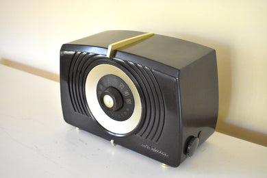 販売済みラジオ 2021 アーカイブ– ページ 5 – Retro Radio Farm