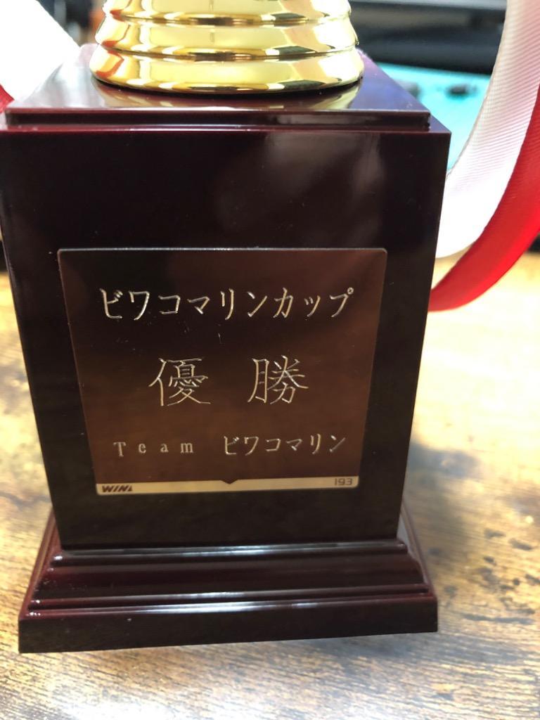 トロフィー 音符 釣り ブラックバス 音楽 WIN-3591 25cm〜20cm【文字代