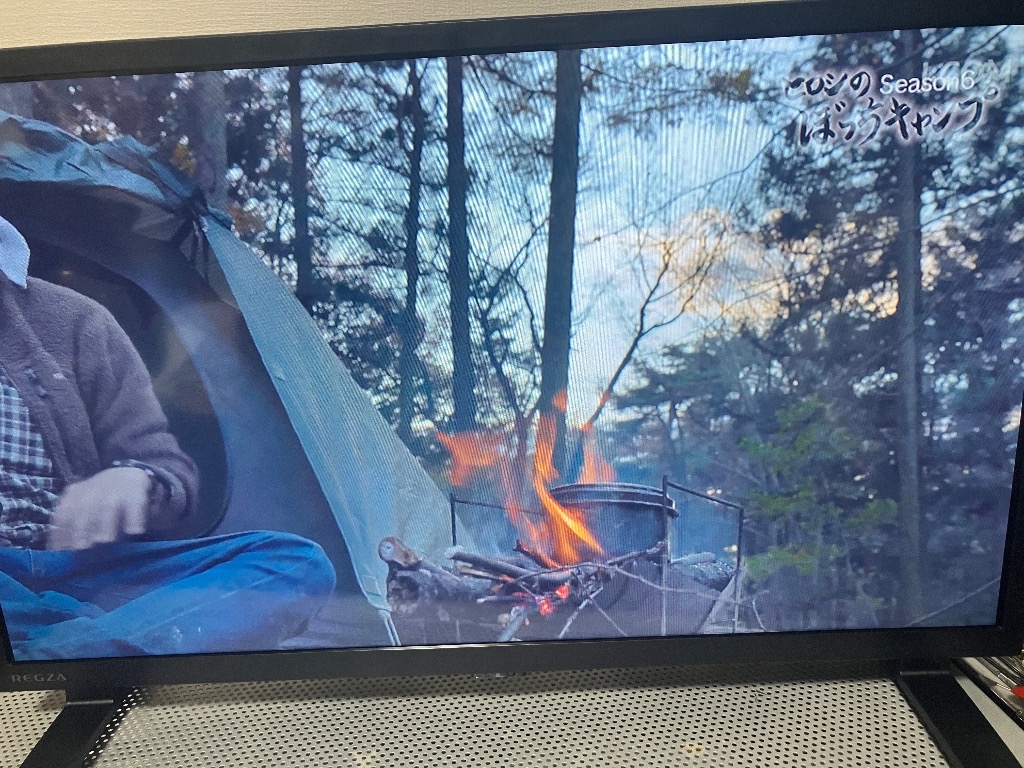 REGZA（レグザ） 24型 ハイビジョンLED液晶テレビ (別売USB HDD録画