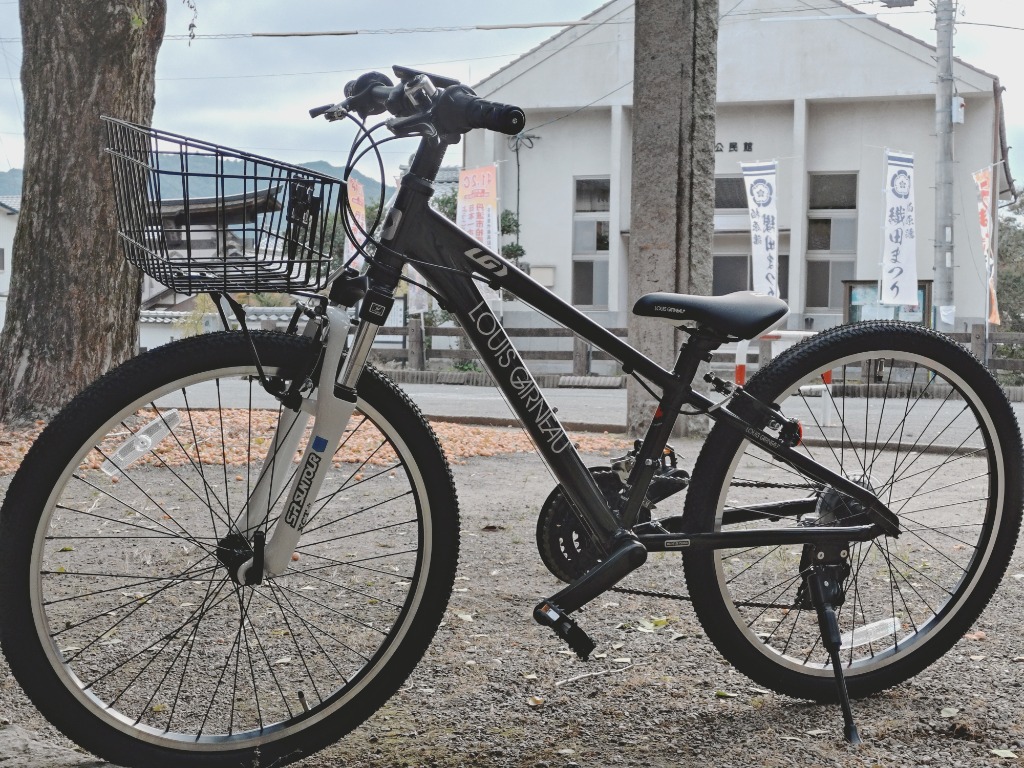 ルイガノ（LOUIS GARNEAU） (西濃支店止め送料無料一部割引) J24 2026