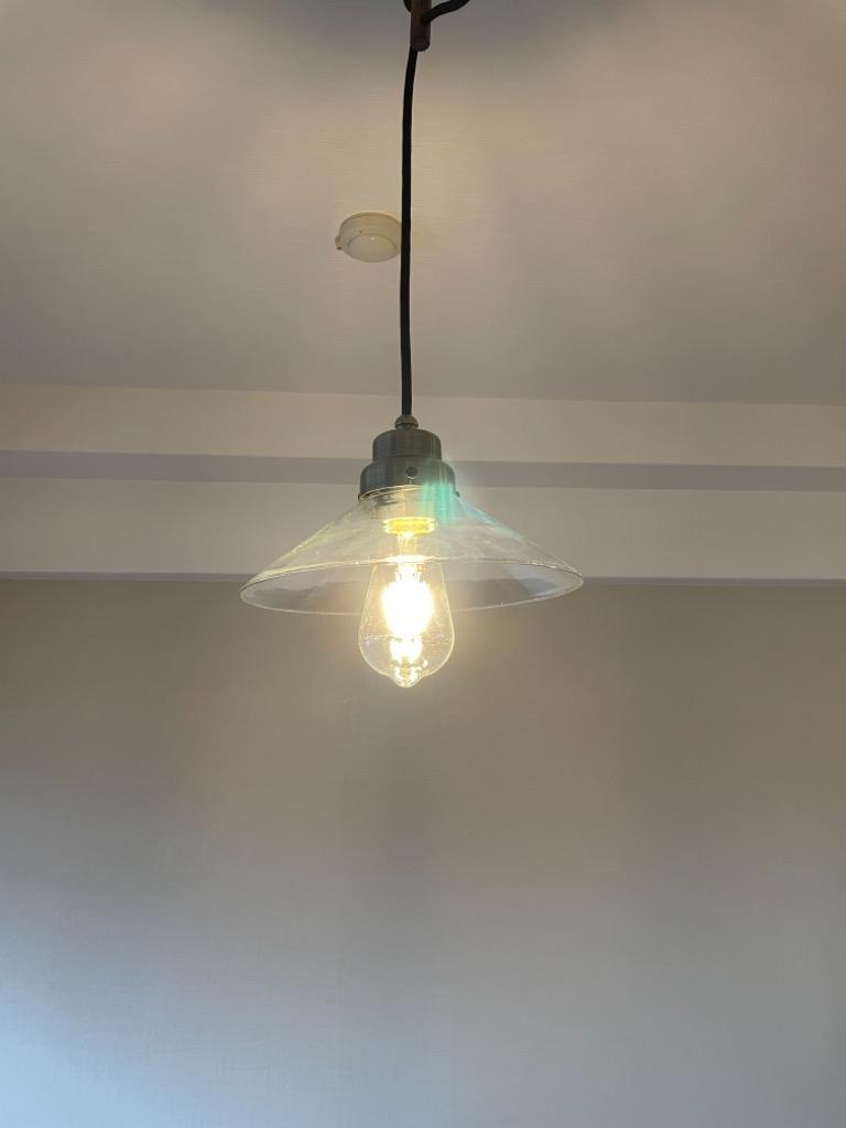 後藤照明 透明P1硝子ブロンズペンダント付属球無し : surou web