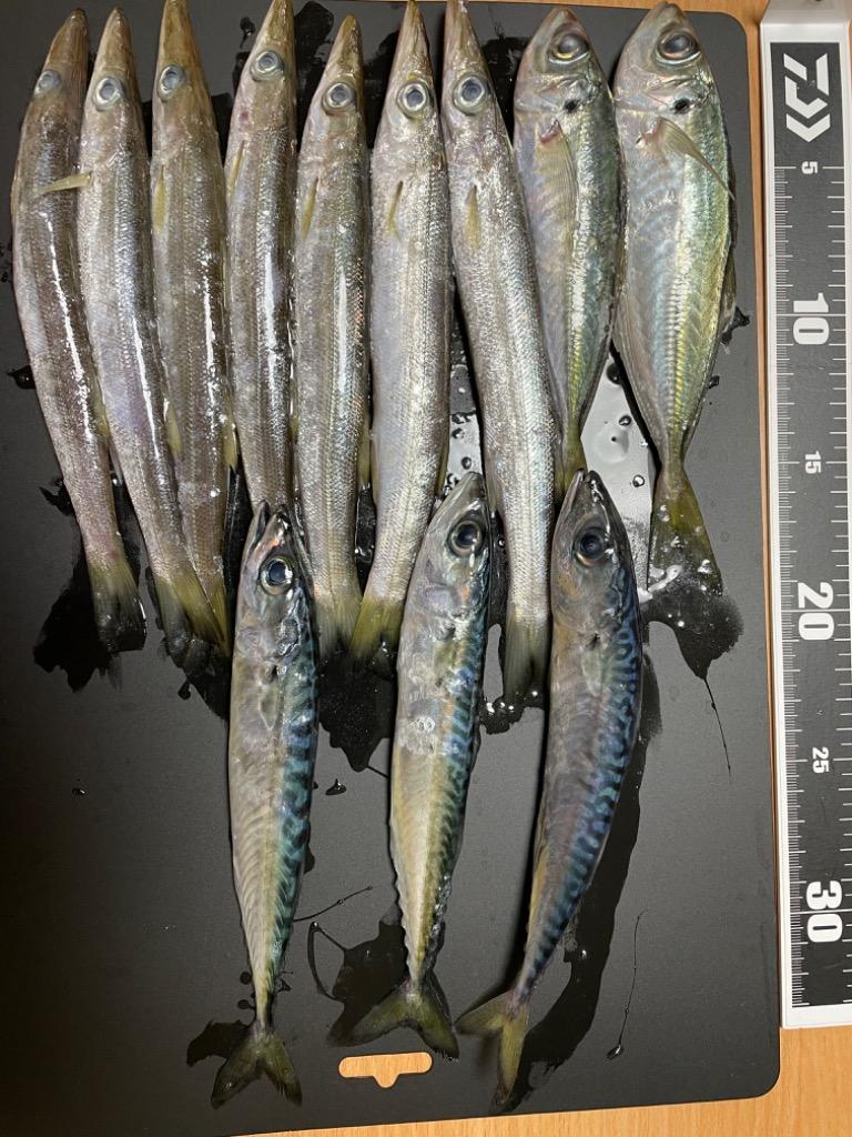 TENRYU ルナキア LK532S-ULS アジングロッド - 最安値・価格比較