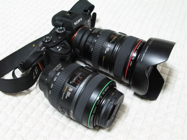 CANON EF70-300mm F4.5-5.6 DO IS USM レビュー評価・評判 - 価格.com