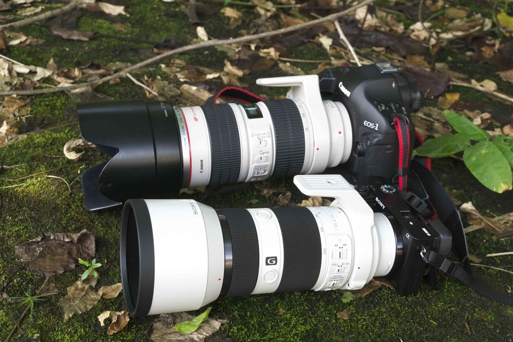 実用的な望遠ズームレンズ』 SONY FE 70-200mm F4 G OSS SEL70200G